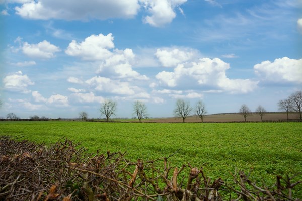 Medium property photo - Dorpsstraat 140, 6251 ND Eckelrade